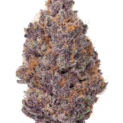 Tropicana Cherry 16%