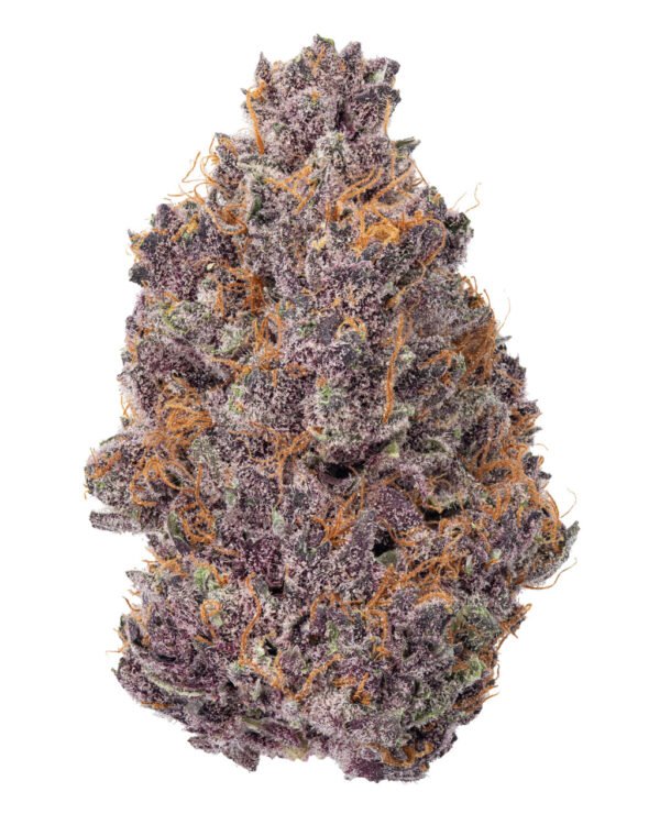 Tropicana Cherry 16%