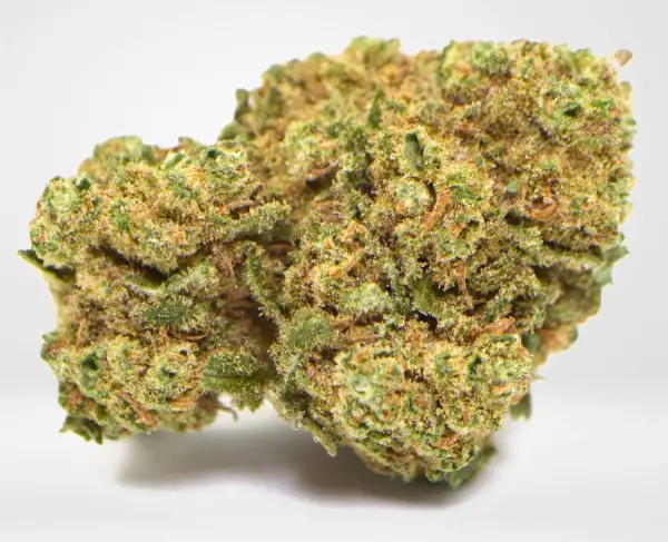 amnesia-product Amnesia Haze Strain