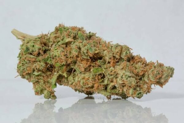 images - 2026-09-02T112941.059 Fruit Pebbles Qualitat THC